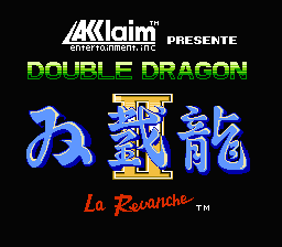 Double Dragon (série) - Capture 3