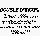 Double Dragon (série) - Capture 5