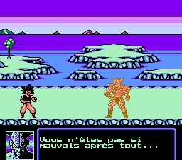 Dragon Ball Z - Capture 3