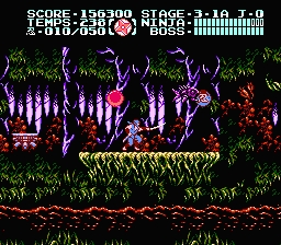 Ninja Gaiden (série) - Capture 6