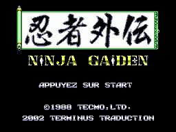Ninja Gaiden (série) - Capture 7