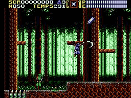 Ninja Gaiden (série) - Capture 9