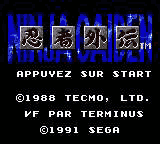 Ninja Gaiden (série) - Capture 11