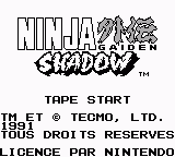 Ninja Gaiden (série) - Capture 14