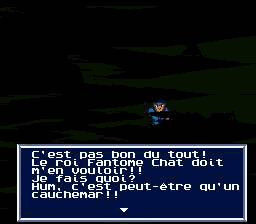 Ranma 1/2 RPG - Capture 3